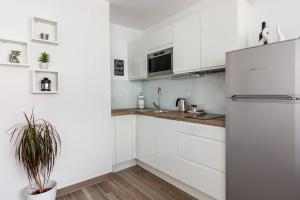 Kuchyň nebo kuchyňský kout v ubytování Apartments Cezar