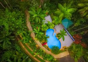 a model of a resort with trees and a swimming pool at Villas en el Bosque in Ojochal