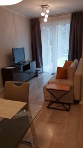 a living room with a couch and a tv at Apartament nad Odrą z tarasem in Wrocław