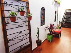 Foto sihtkohas Cusco asuva majutusasutuse Tampu Hotel galeriist