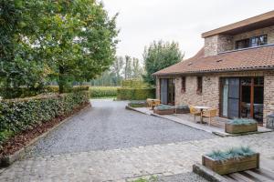 Κήπος έξω από το B&B Het Hof van Petronilla