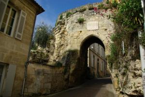 Bourg-sur-GirondeVilla Bacchus的相册照片