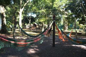 Um jardim em IguassuEcoHostel - Eco Suítes - Hostel mais próximo das Cataratas
