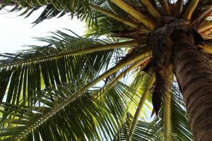 Fotografie z fotogalerie ubytování Tierra Mia Boutique Hotel v destinaci Ostrov Holbox