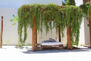 Zahrada ubytování Tierra Mia Boutique Hotel