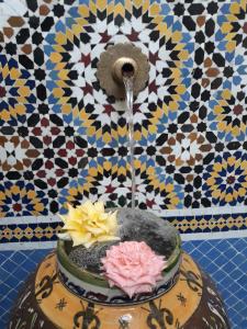 Fotografie z fotogalerie ubytování Riad Passiflora v destinaci Fès