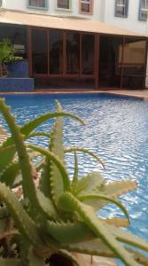 Majoituspaikassa Riad Passiflora tai sen lähellä sijaitseva uima-allas