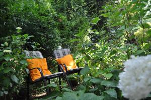 Obernhain的住宿－Ferienwohnung am Waldrand，两把椅子坐在树木繁茂的花园中
