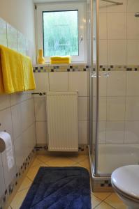 Obernhain的住宿－Ferienwohnung am Waldrand，带淋浴和卫生间的浴室以及窗户。
