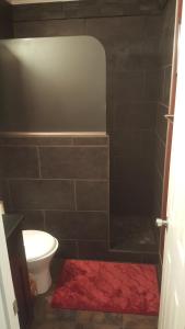 La salle de bains est pourvue d'une douche, de toilettes et d'un tapis rouge. dans l'établissement Contemporary Paradise w/ Private Bathroom, à Nashville
