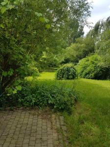 Gîte d'Hildegarde with sauna外面的花园