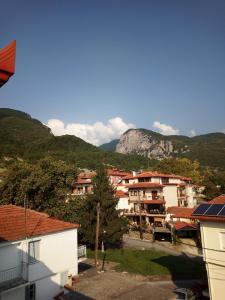 a view of a town with a mountain in the background at Big apartment next to Olympus mountain in Litochoro