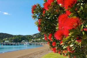 a bunch of red flowers on a beach at Te Manaaki Villa in Russell