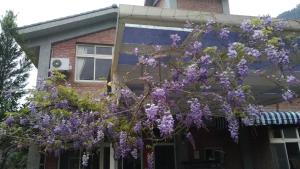 Zahrada ubytování Zuo An Hostel