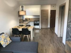 Kuchyň nebo kuchyňský kout v ubytování Apartmán Lomnička - Tatranská Lomnica - Krásny výhľad na Vysoké Tatry