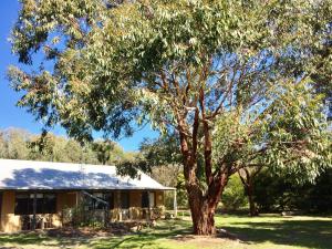 a large tree in front of a house at Pomonal Cottages Grampians in Halls Gap