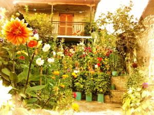 Zahrada ubytování Guesthouse Gouris