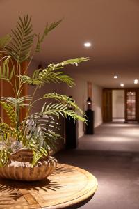 a potted plant sitting on a table in a hallway at Les Suites at The Cliff Bay - PortoBay in Funchal