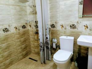 Un baño con ducha, inodoro y lavabo. en Riverside Hotel, en Ereván