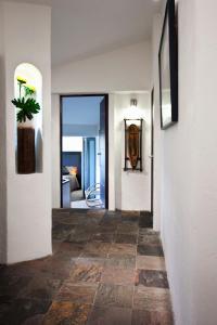 un couloir avec une plante dans un pot sur un mur dans l'établissement Aztic Hotel and Executive Suites, à Mexico