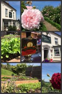 a collage of photos of flowers in front of a house at The Kilcot Inn in Newent
