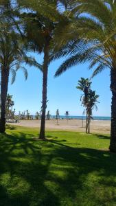 リンコン・デ・ラ・ビクトリアにあるApartamento Pleamarの浜のヤシの木群
