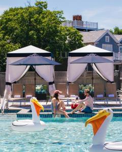 un groupe de personnes assises dans un bassin avec des cygnes dans l'eau dans l'établissement The Nantucket Hotel & Resort, à Nantucket