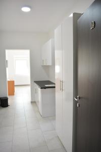 Kuchyň nebo kuchyňský kout v ubytování Deltix Apartments