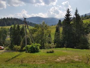 un poste de teléfono en un campo con árboles y montañas en Na Gorbochku, en Podobovets