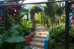 a garden with a pathway and plants at Tri M Waves Lodge in Ponta do Ouro