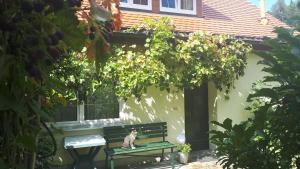 un gato sentado en un banco verde frente a un edificio en Ferienhaus Puttrich, en Hohnstein