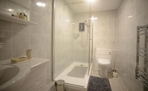 Tilbrook的住宿－薩默菲爾德農場公寓，带淋浴、卫生间和盥洗盆的浴室