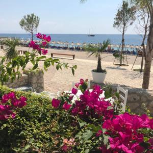 a table with pink flowers on the beach at Royal Blue Hotel in Dhërmi