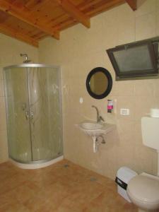 uma casa de banho com um chuveiro, um WC e um lavatório. em Royal Guest House em Nazaré