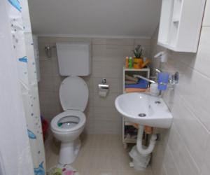 Vannituba majutusasutuses Apartman Vrdničak