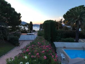 a view of a garden with flowers and a swimming pool at 91 Avenue Général Leclerc, Les Patios in Saint-Tropez