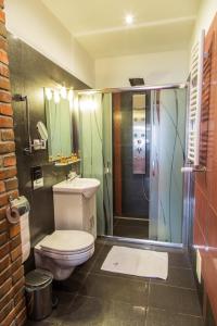 a bathroom with a toilet and a glass shower at Fregata in Ełk