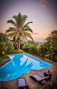 una piscina con due sedie a sdraio e una palma di Villa Romeo a Étang-Salé