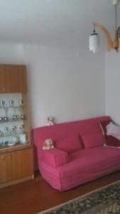 ウストシキ・ドルネにあるPokoje u Rysiaのリビングルーム(ピンクのソファ付)