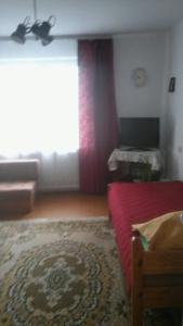 ウストシキ・ドルネにあるPokoje u Rysiaのリビングルーム(赤いベッド1台、窓付)