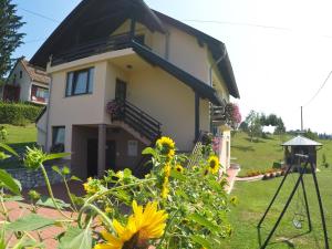 een huis met een zonnebloem ervoor bij Apartment Ante in Slunj