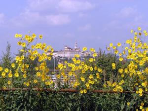 Ein Garten an der Unterkunft Il Poggiolo Delle Rose Bed&Breakfast