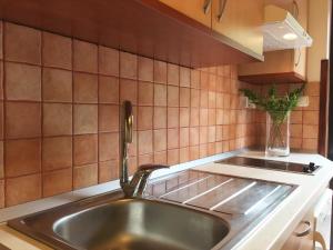 Kuchyň nebo kuchyňský kout v ubytování Apartmani Lisac