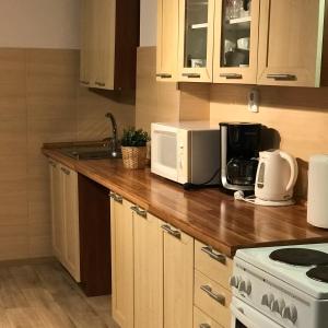 Cucina o angolo cottura di Pension Crhan