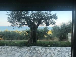 Foto dalla galleria di Villa Sami a Vasto