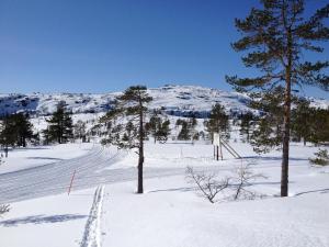 Vrådal Panorama - Tiuråsvegen 39 v zimě