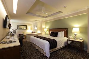 サカテカスにあるエンポリオ サカテカスのベッドとデスクが備わるホテルルームです。