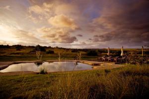 a small pond in the middle of a field at Hlosi Game Lodge - Amakhala Game Reserve in Amakhala Game Reserve