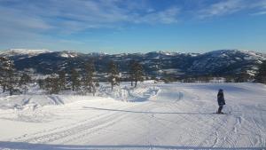 Vrådal Panorama - Tiuråsvegen 39 v zimě