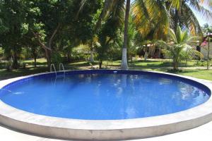 Pousada Barra do Mundaú في Lavagem: حمام سباحة أزرق كبير مع أشجار النخيل في الخلفية
